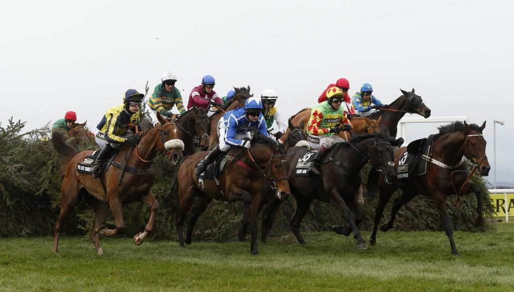 Grand National Tips - On Landing