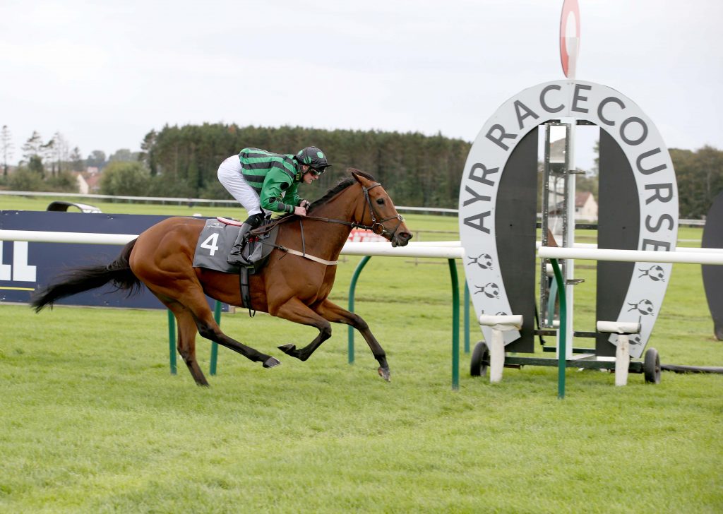 Ayr Racecourse