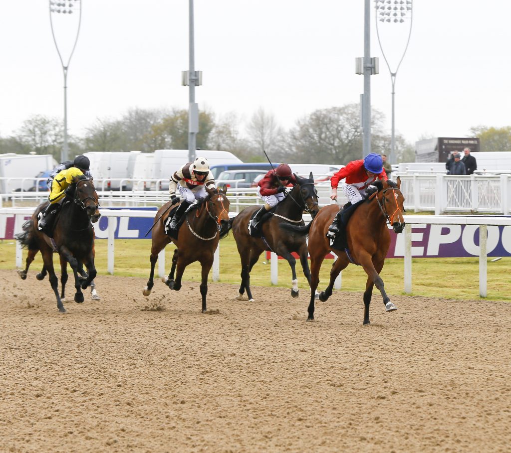 Chelmsford City Racecourse