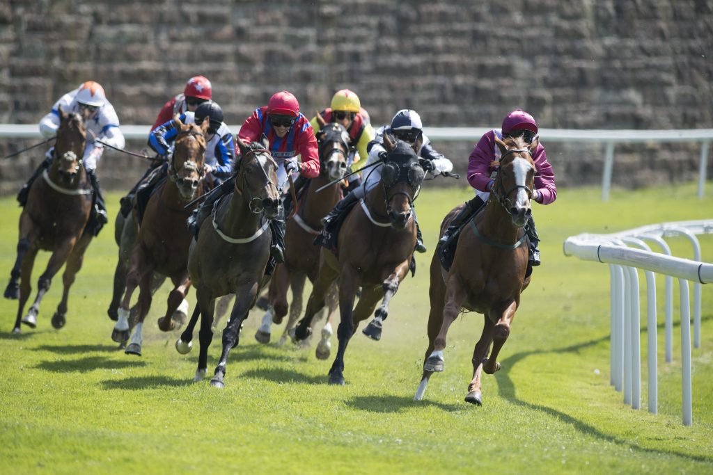 Chester Racecourse