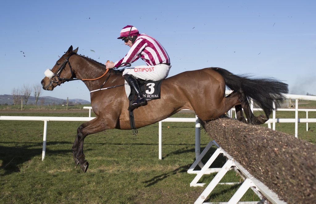 Down Royal Racecourse