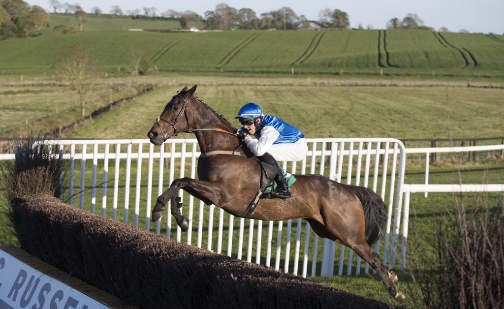 Downpatrick Racecourse