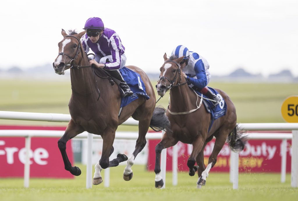 The Curragh Racecourse