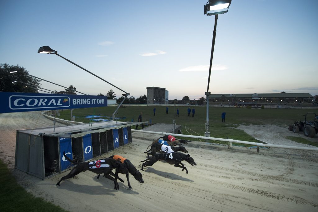 Brighton and Hove Greyhounds Stadium