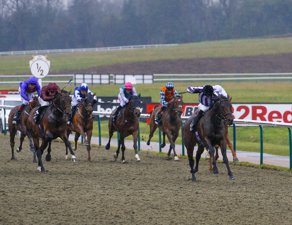 Lingfield Park Racecourse