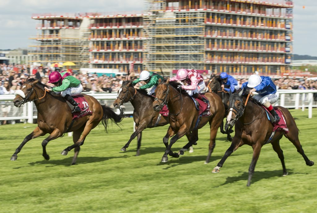 Newbury Racecourse