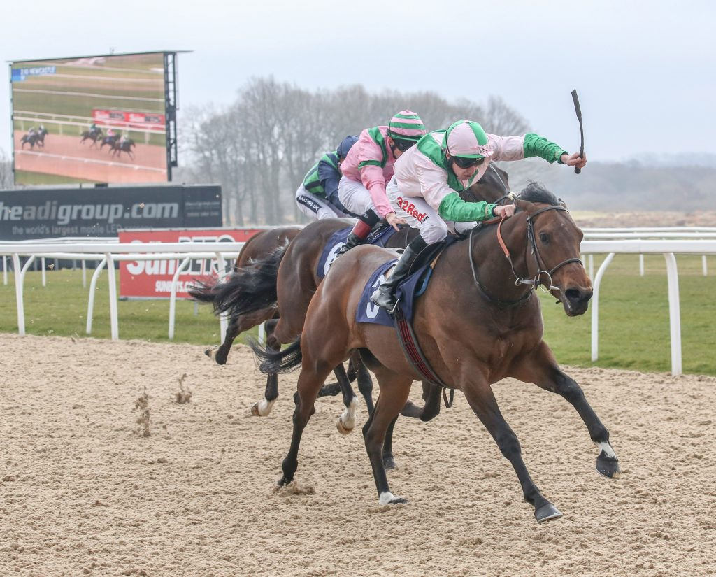Newcastle Racecourse