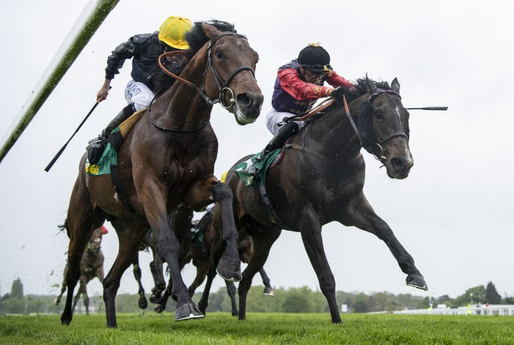 Sandown Park Racecourse