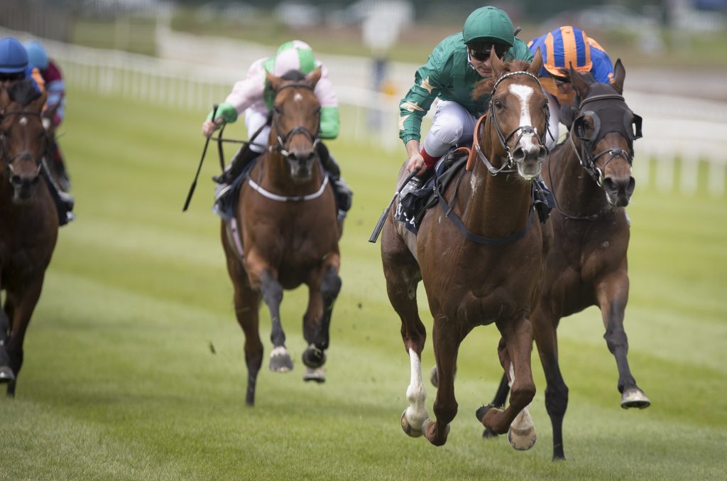 The Curragh Racecourse