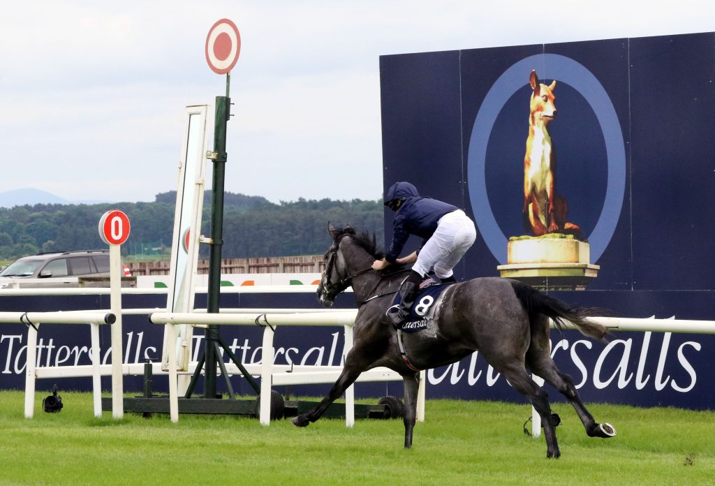 Newmarket Racecourse