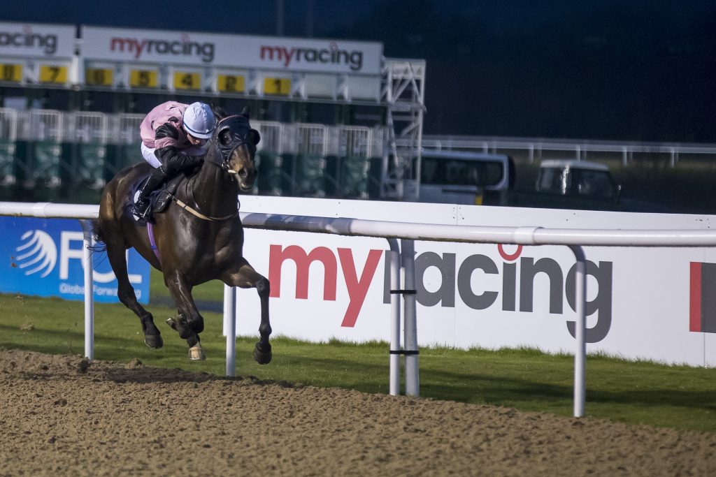 Wolverhampton Racecourse