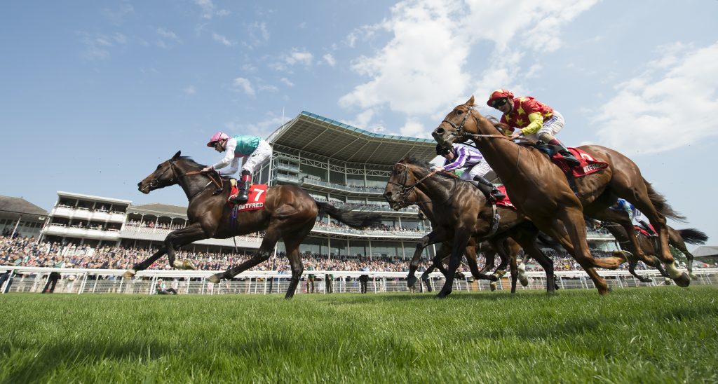 York Racecourse