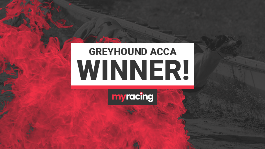 Greyhound Acca Winner Image