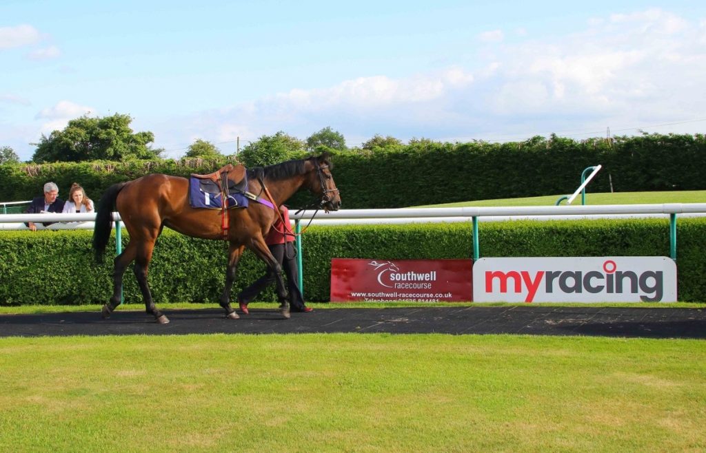 Horse Parading at Southwell Racecourse
