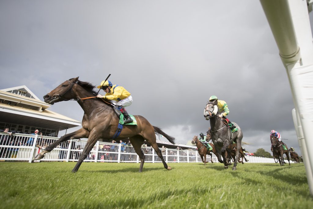 Listowel Racecourse