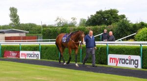 Mister Kalanisi Parade Ring - Southwell