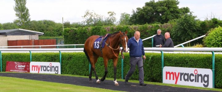Why is pedigree important in horse racing?