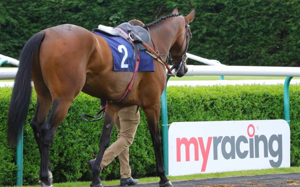 Southwell Racecourse