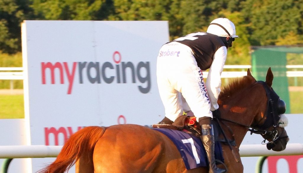 Southwell Racecourse