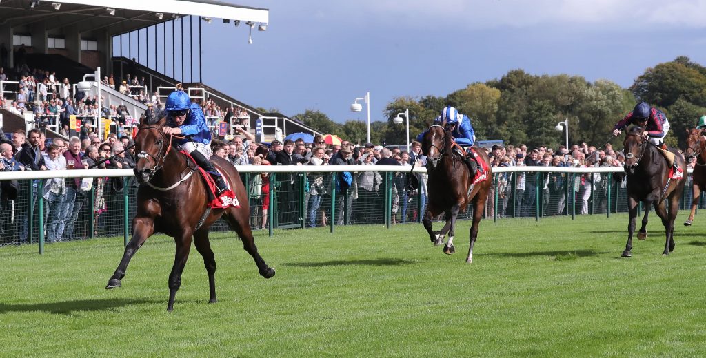 Harry Angel wins the Sprint Cup 2017