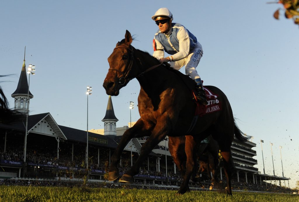 Goldikova Breeders Cup