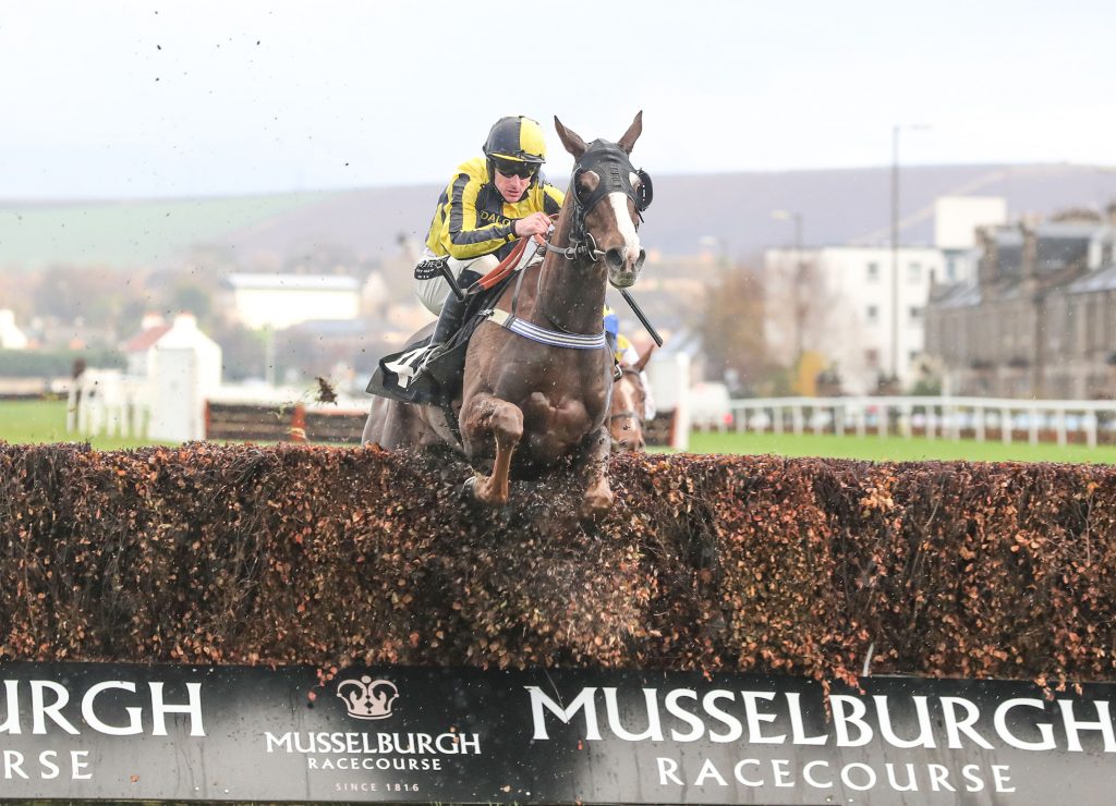 BORN FOR WAR Ridden by Brian Hughes wins at Musselburgh