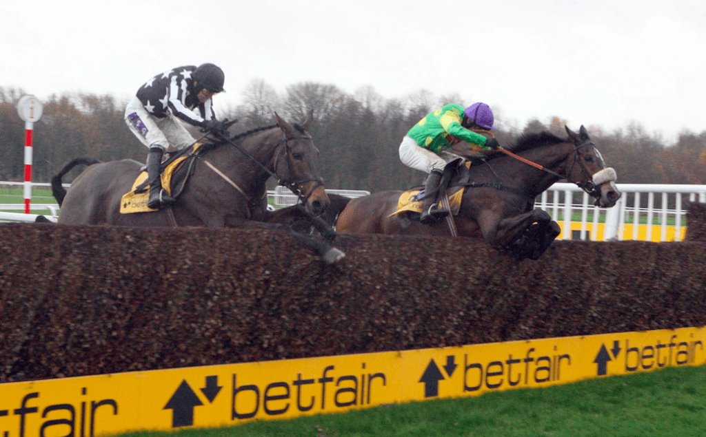 Kauto Star and Imperial Commander in the Betfair Chase