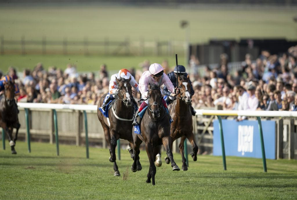 Too Darn Hot wins the Dewhurst at Newmarket