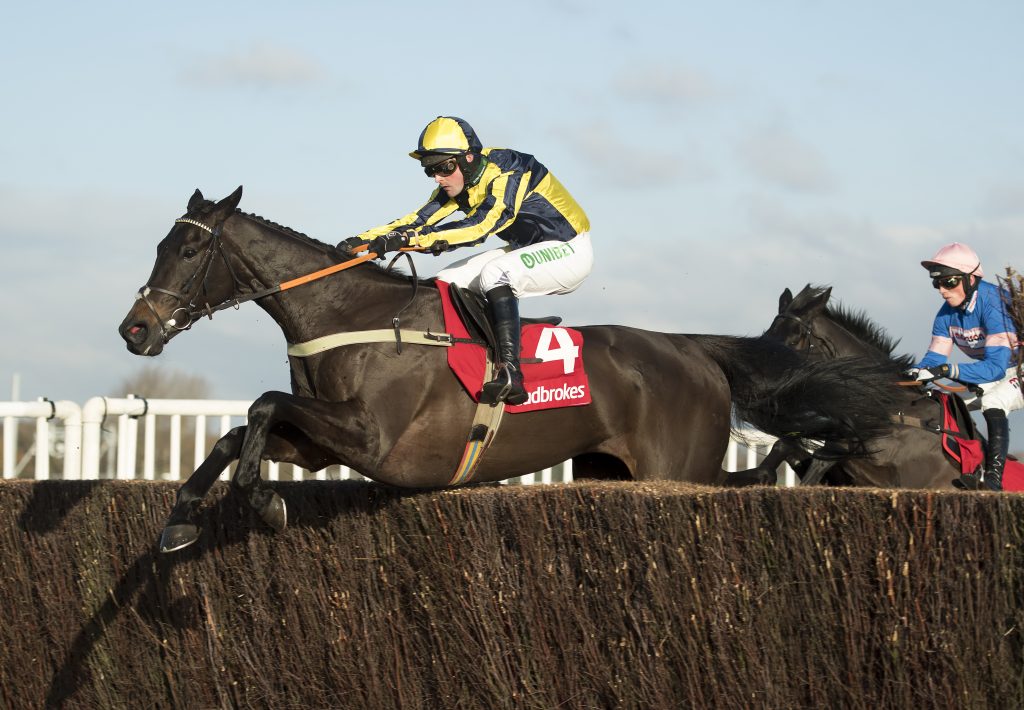 Willoughby Court jumping a fence at Newbury