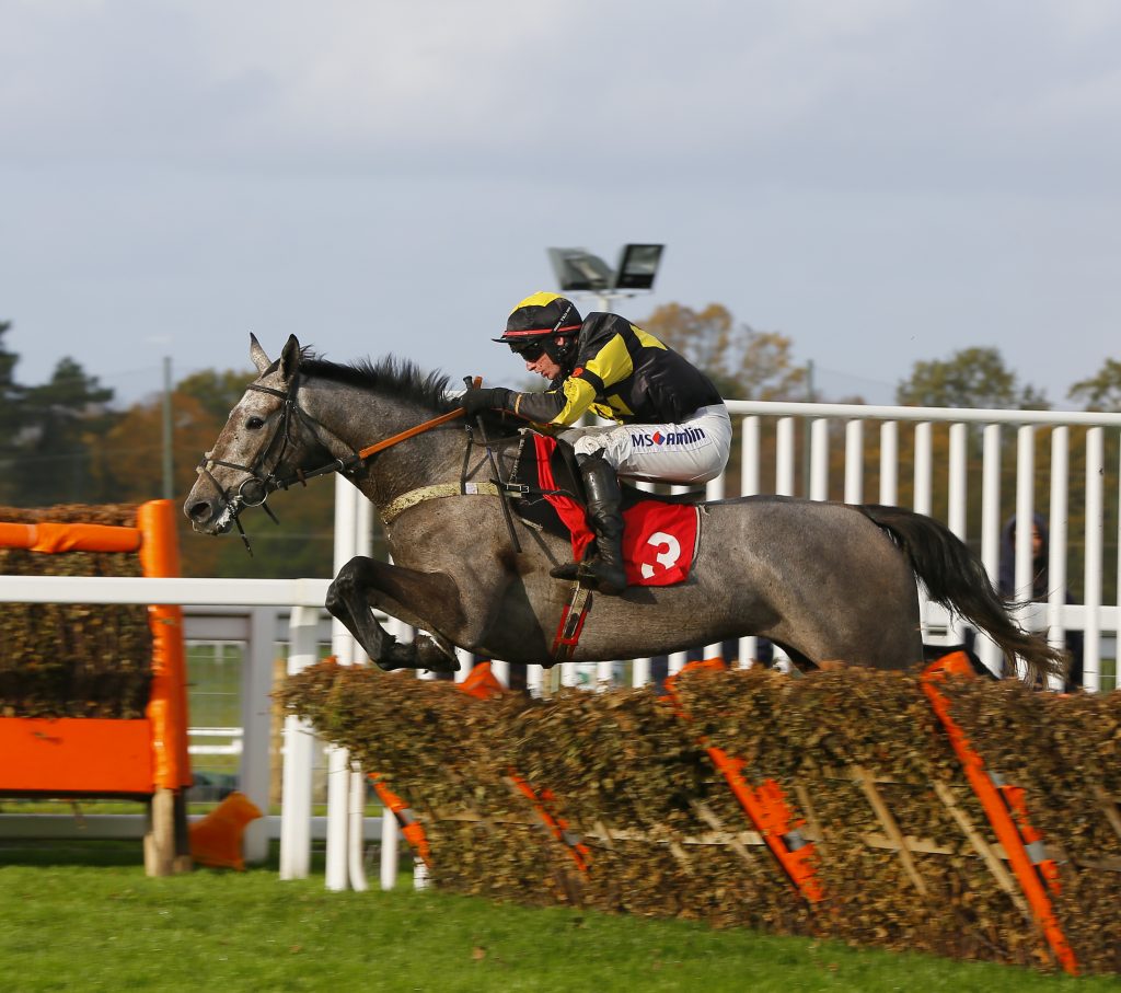 Eldorado Allen winning a Maiden Hurdle at Sandown