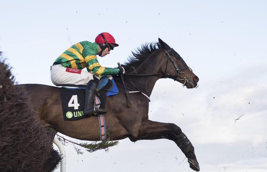Edwulf wins the Irish Gold Cup
