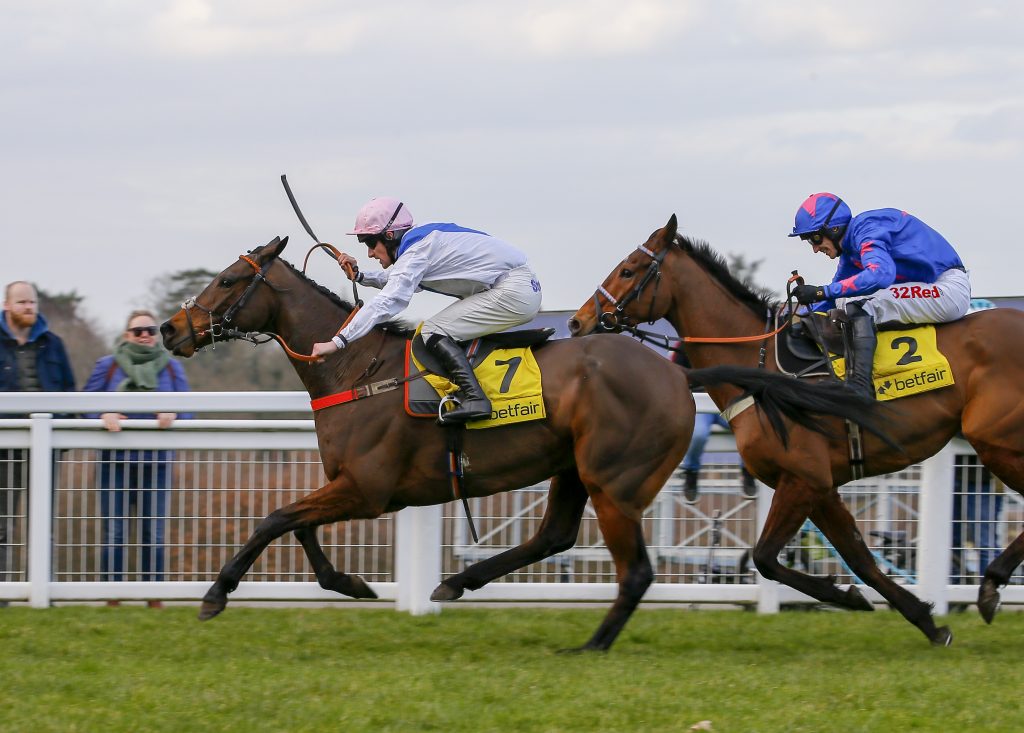 Waiting Patiently wins The Betfair Ascot Chase from Cue Card