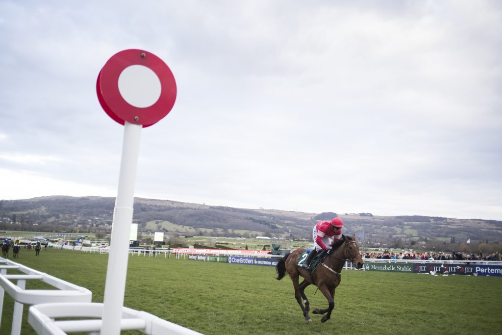 Laurina wins at Cheltenham