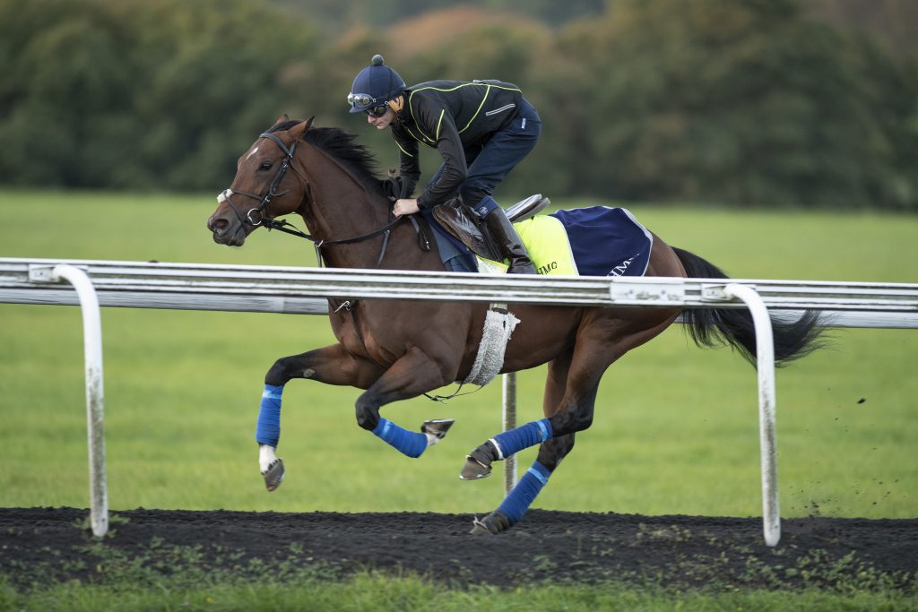 Robert Havlin on board Cracksman