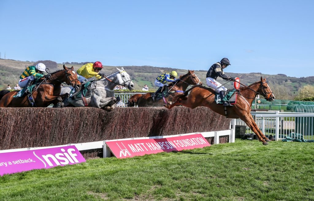 Winter Lion wins at Cheltenham