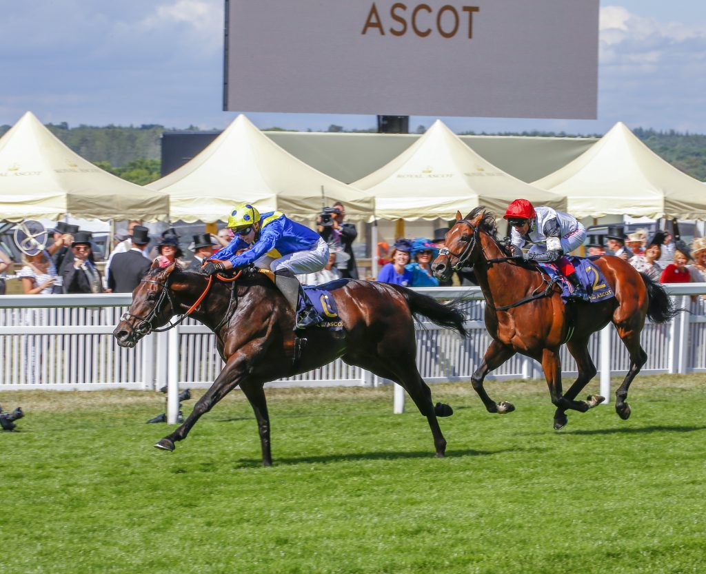 Poet's Word wins the Prince Of Wales's Stakes