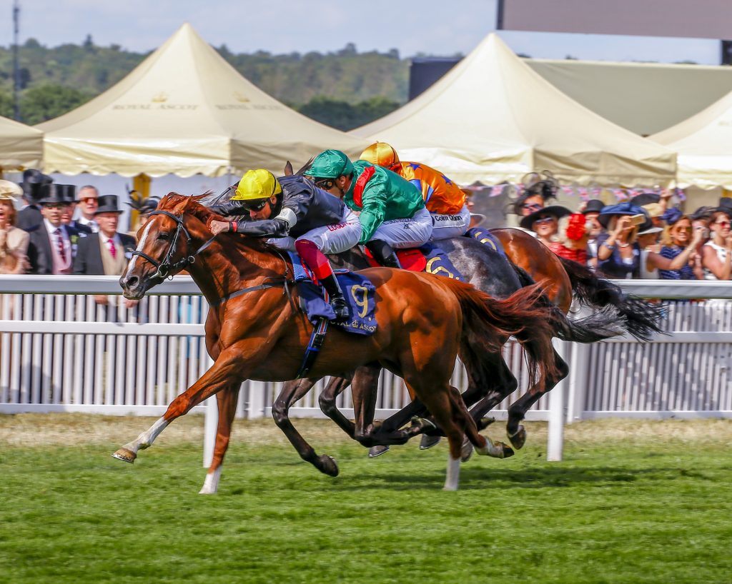 Stradivarius wins the Gold Cup