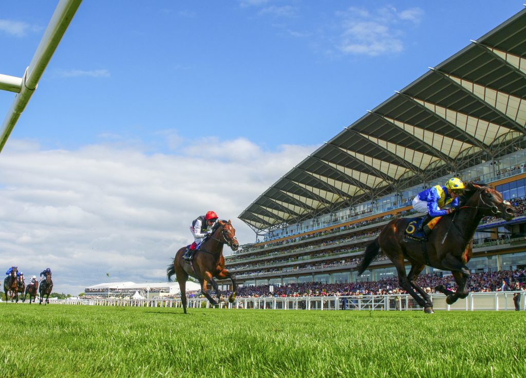 Poet's Word winning The Prince Of Wales's Stakes in 2018