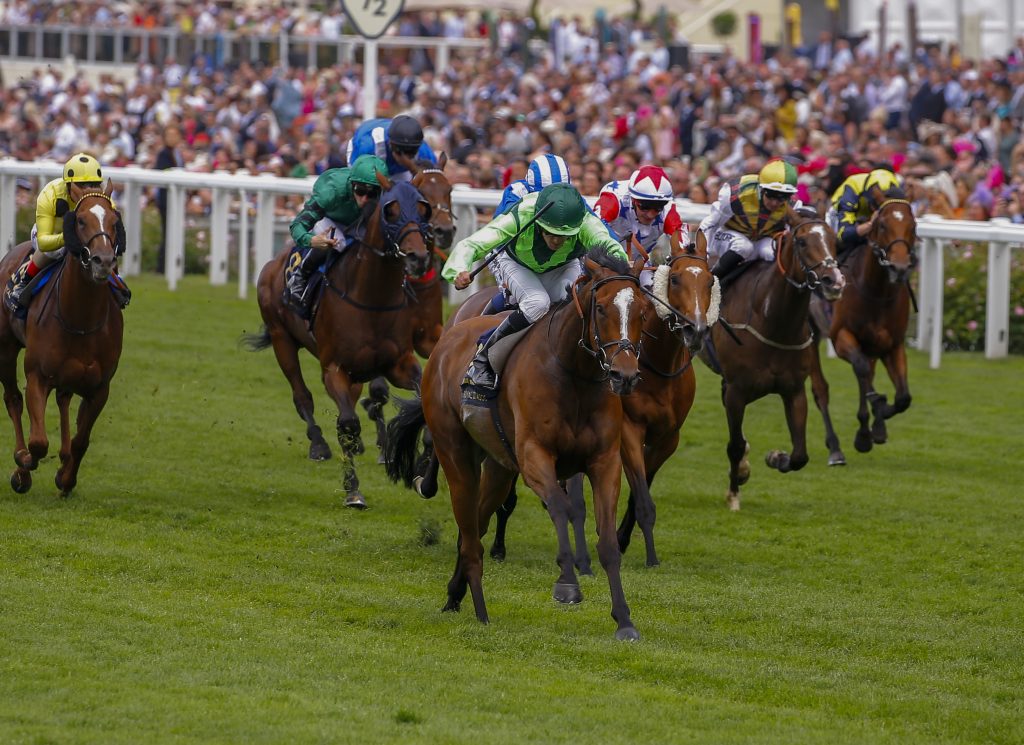 Settle For Bay wins the Royal Hunt Cup