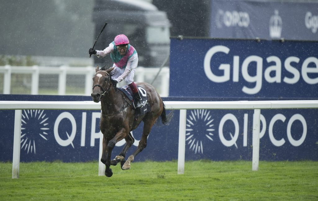 Ascot King George Betting Preview, Tips and Trends | myracing