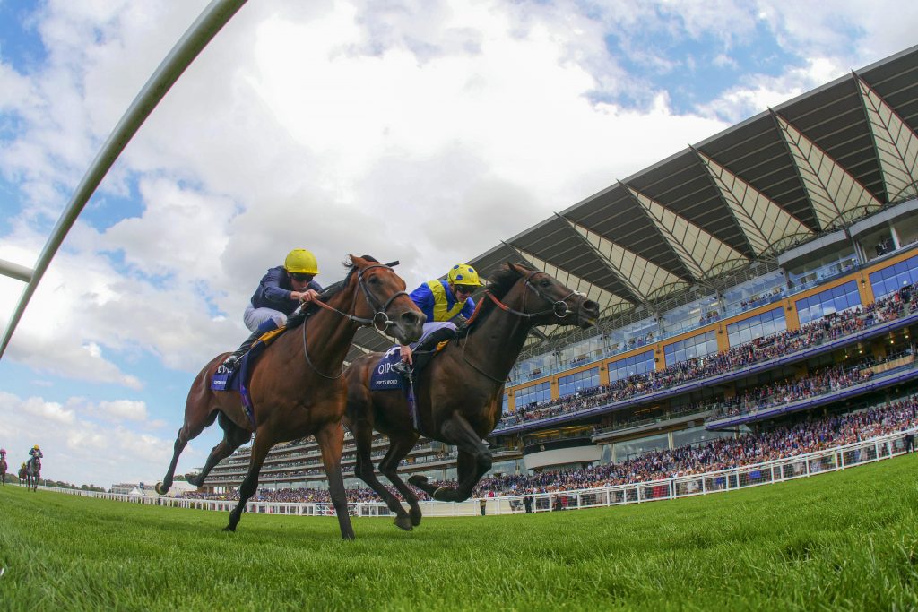 Poet's Word wins the 2018 King George VI and Queen Elizabeth Stakes