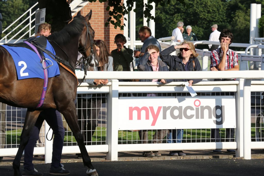 Horses parading at Nottingham