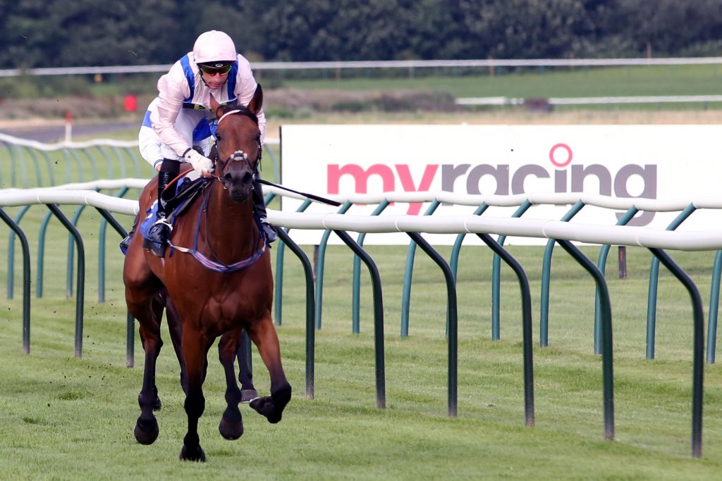 Saikung - Gerald Mosse