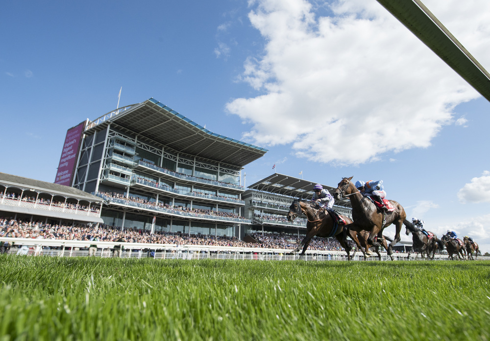 Tote Placepot Selections for Day 3 of the York Ebor Meeting | myracing