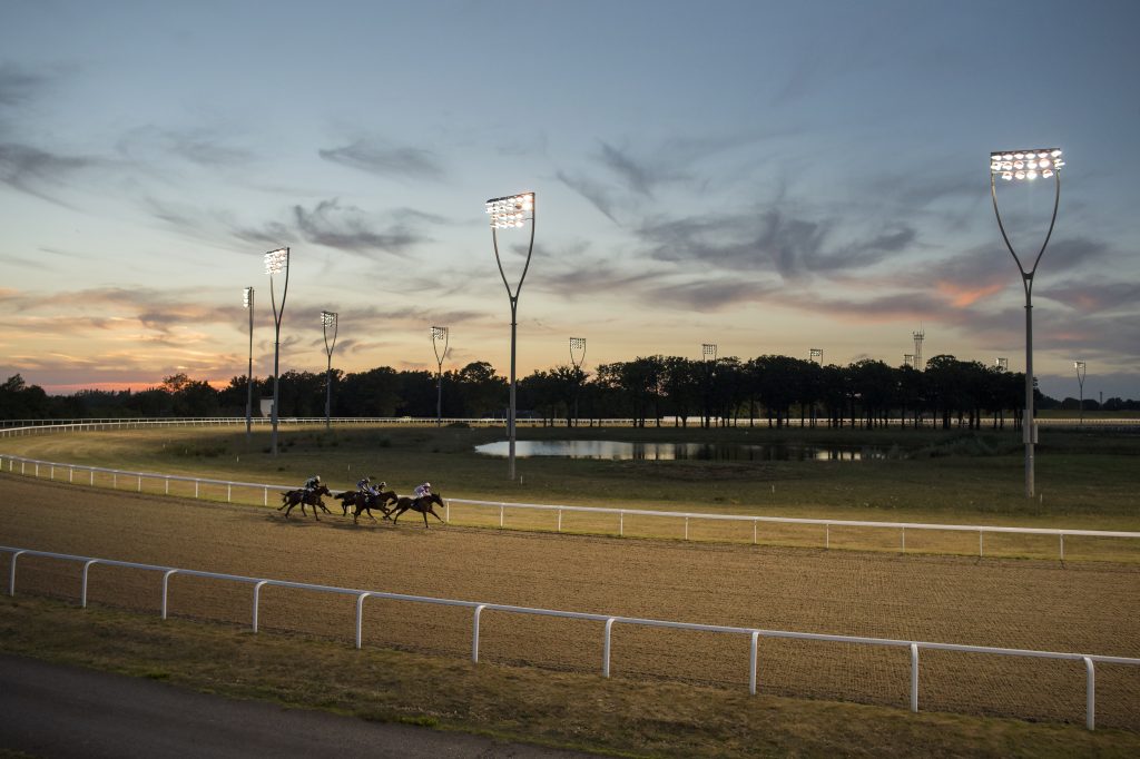 Runners in the 10f handicap won by Wild Hacked coming into the home straight. 23/8/16