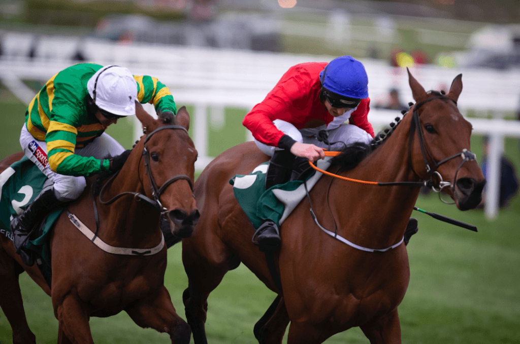Blue Sari Champion Bumper Cheltenham