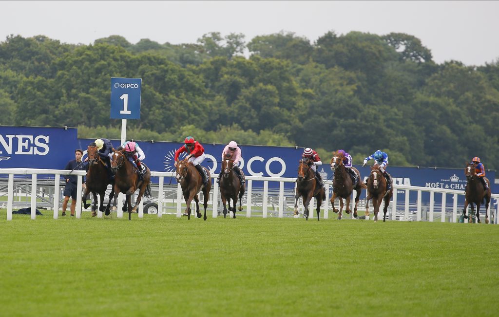 Enable beats Crystal Ocean to win the 2019 King George