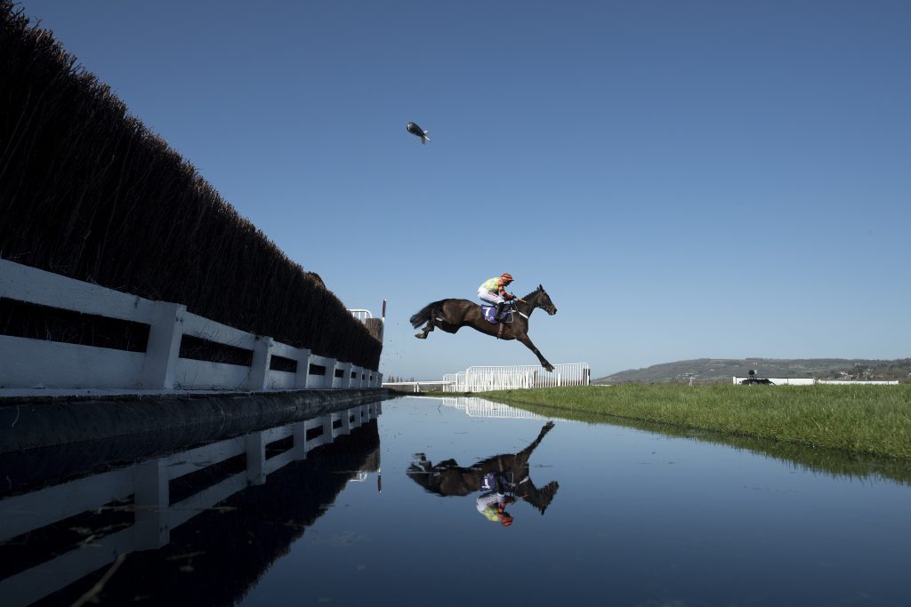 Might Bite in the 2017 RSA Chase