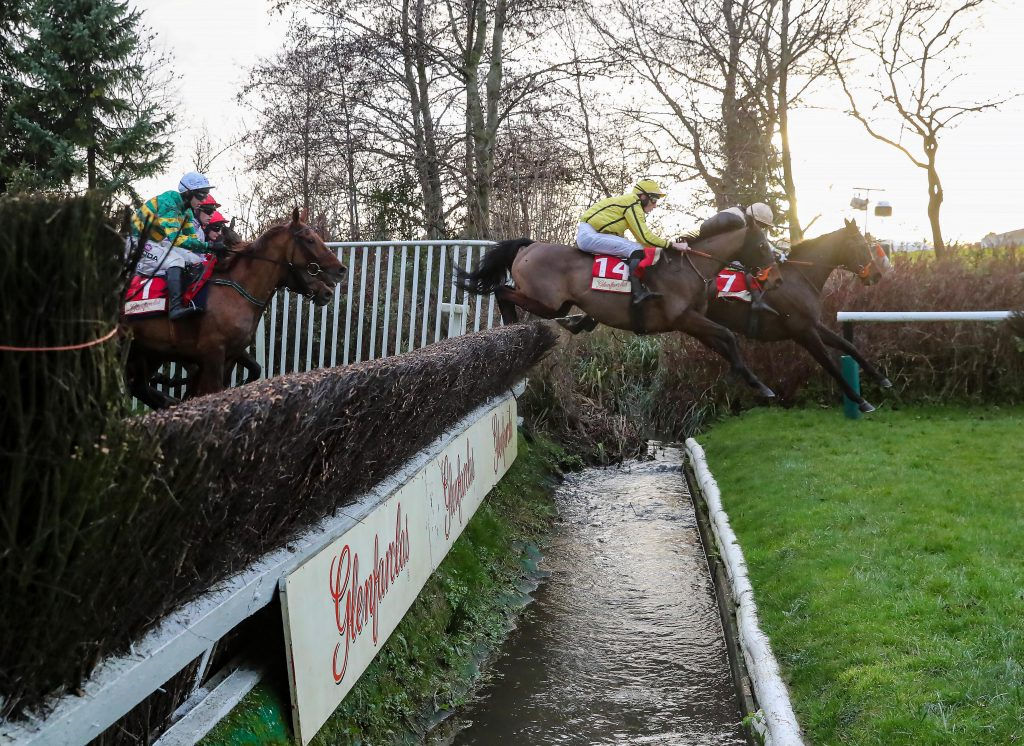 Easyland wins at Cheltenham under Jonathan Plouganou