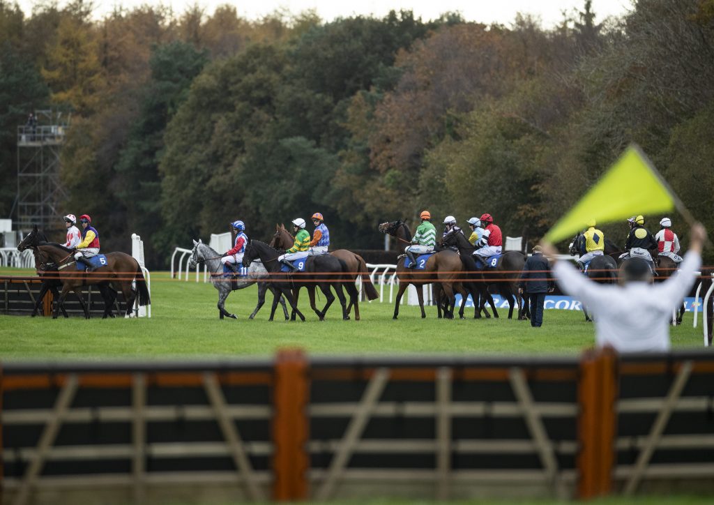 Runners at the start at Exeter